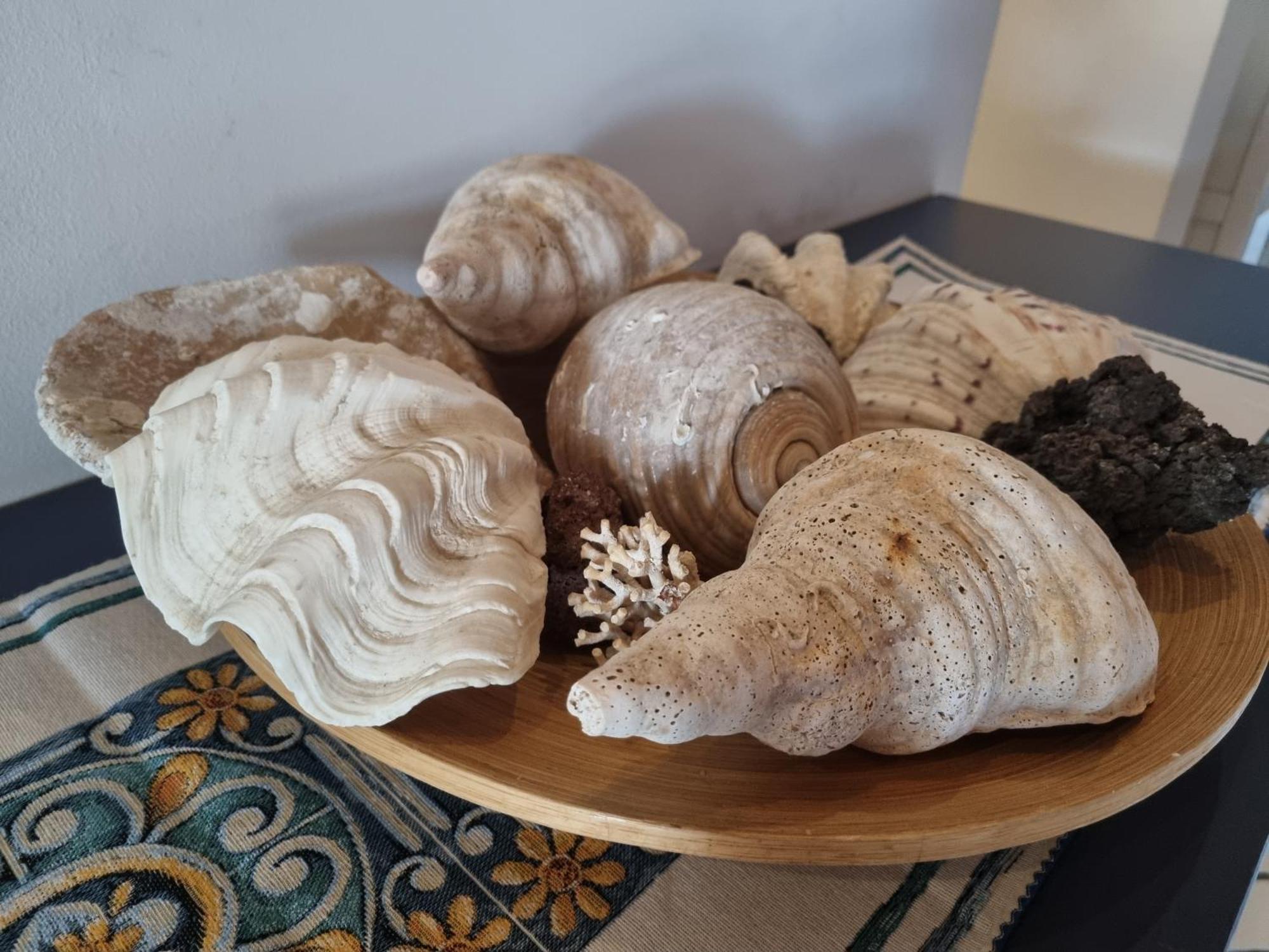 Villa Sicily Sul Mare Tra Catania E Siracusa Augusta Zewnętrze zdjęcie